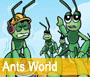 Ants World
